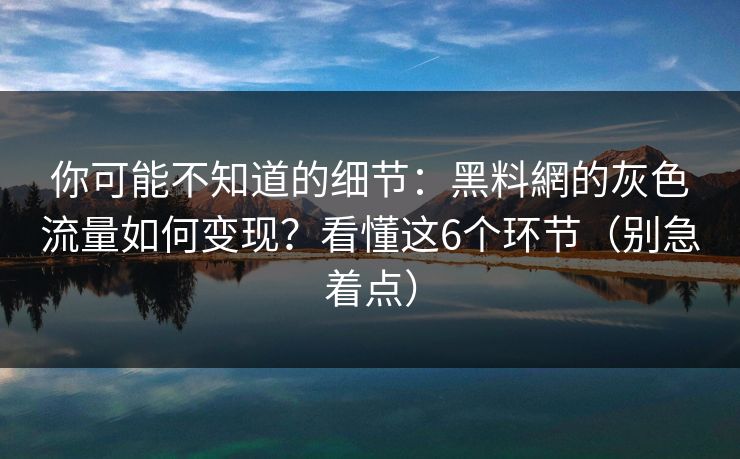 你可能不知道的细节：黑料網的灰色流量如何变现？看懂这6个环节（别急着点）